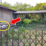 空き家 問題 点