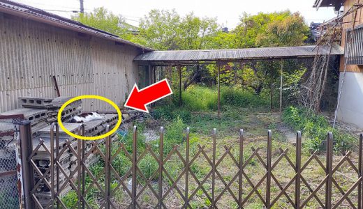 空き家の問題点～田舎の実家は大丈夫？　景観・安全面でご近所迷惑です