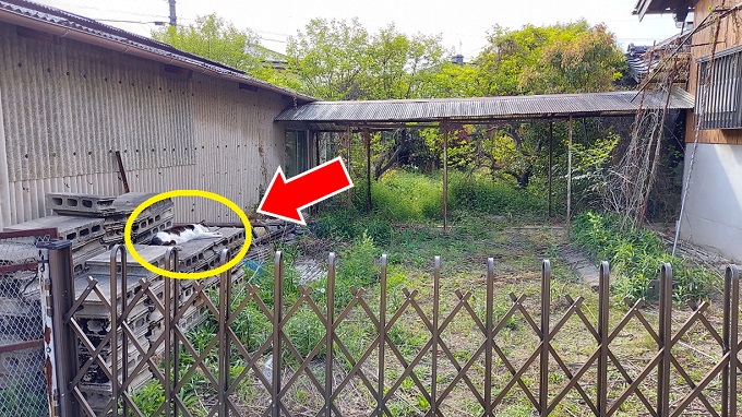 空き家 問題 点